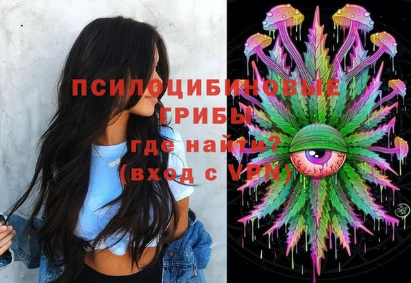 МДПВ Инта