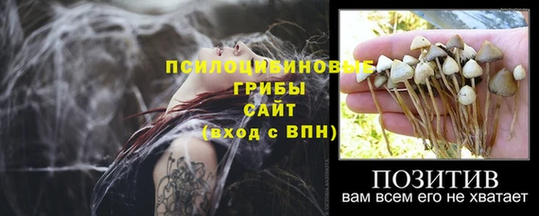 мескалин Инсар