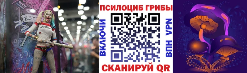 Псилоцибиновые грибы Psilocybe  Купить закладки  Певек 